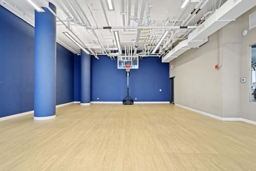 a large room with a hard wood floor and blue walls