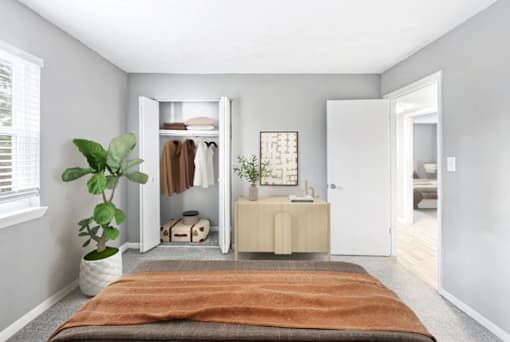 A room with a brown rug on the floor and a plant on the left side.