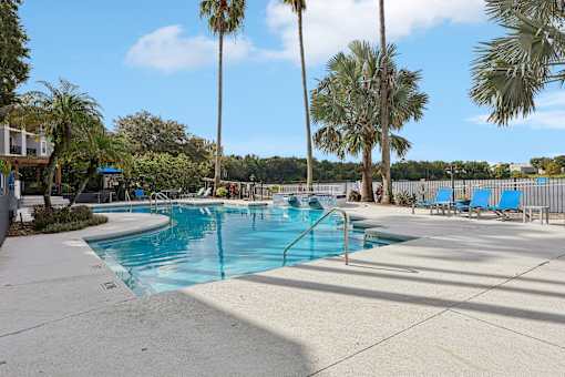 A swimming pool surrounded by palm trees and blue lounge chairs.