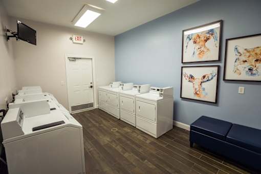 A room with a row of washing machines and two framed pictures of foxes on the wall.