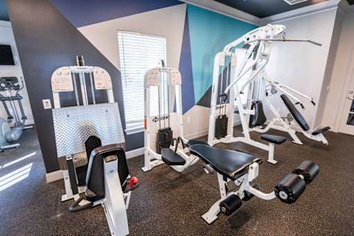 A gym with a variety of equipment including a leg press machine, a seated calf raise machine, a leg curl machine, and a leg extension machine.