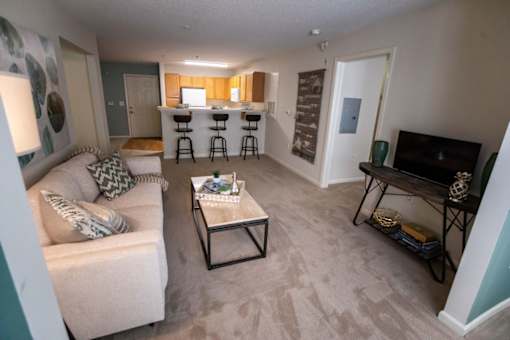 A living room with a couch, a coffee table, and a television.