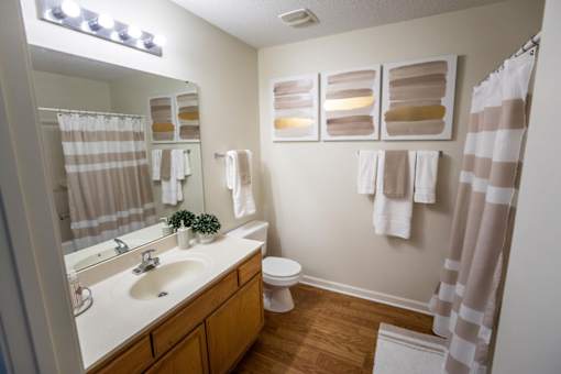 A bathroom with a toilet, sink, and shower curtain.