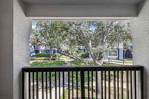 A view from a balcony looking out at a tree and a street.