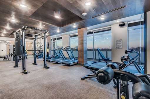 A gym with treadmills, weights, and a view of the outside.