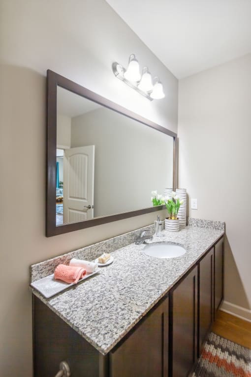 a bathroom with a granite countertop and a large mirror