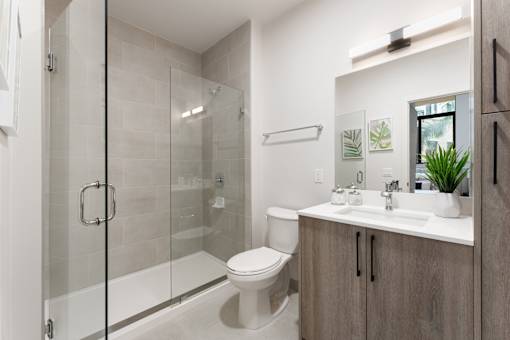 A modern bathroom with a walk-in shower and a toilet.
