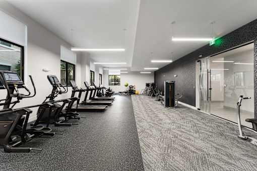 A gym with treadmills and exercise equipment.