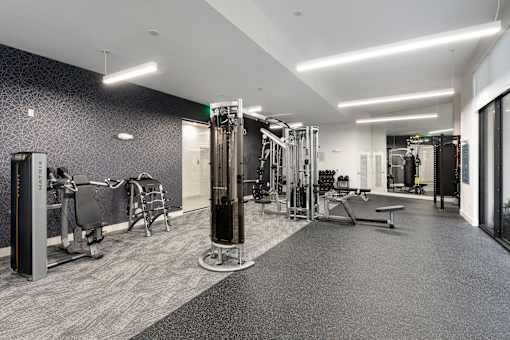 A gym with a variety of equipment including treadmills, weights, and exercise machines.