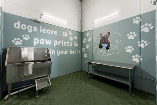 A room with a wall that says "dogs leave paw prints in your heart" and a bench.