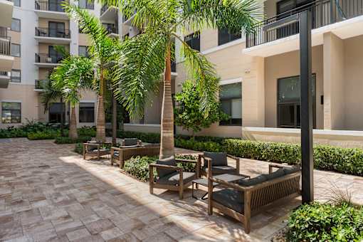 A patio with chairs and a table with a tall palm tree in the middle.