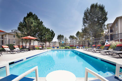 Ardenne Apartments pool with chairs and tall green trees