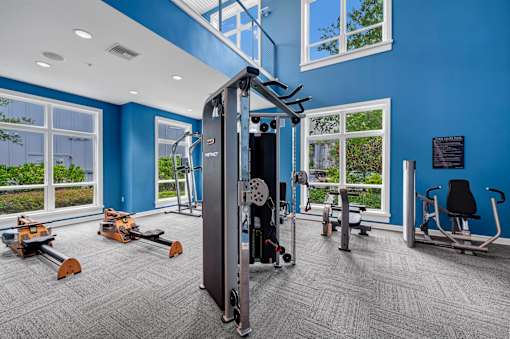 A gym with a variety of equipment including a squat rack, bench press, and leg press.