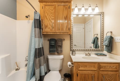 A bathroom with a white toilet, a white sink, a wooden cabinet, and a mirror.