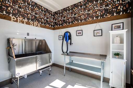 A pet spa with a wall covered in photos and a stainless steel sink.