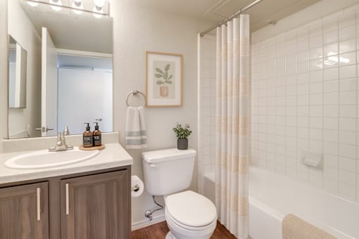 A bathroom with a white toilet, sink, and shower.