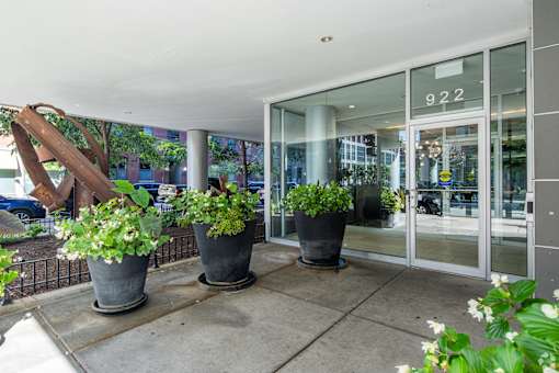 Three potted plants are on a patio outside a building with glass doors.