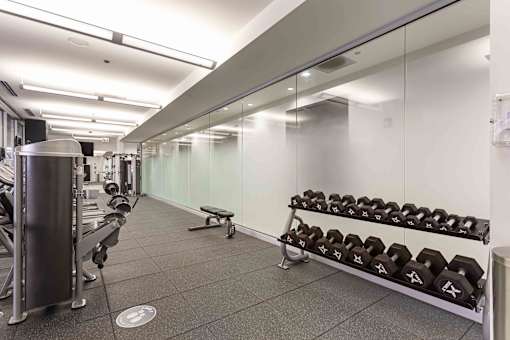A gym with a row of dumbbells on a rack.