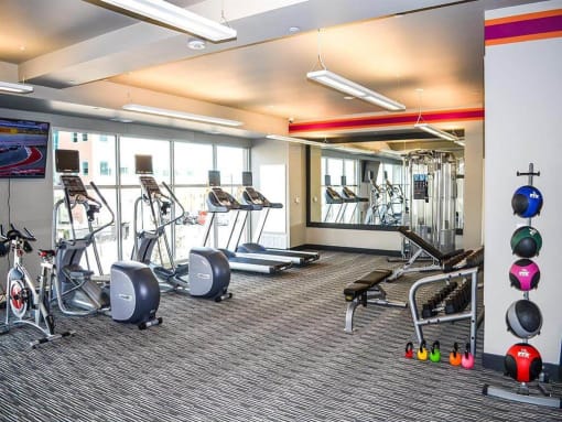 a gym with cardio equipment and weights in a building