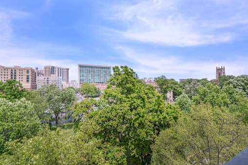 A view of a cityscape with buildings and trees in the foreground.