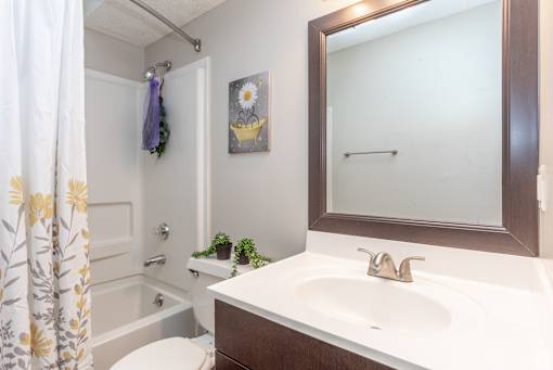 A bathroom with a white sink and a mirror.