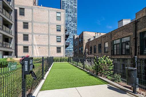 A small grassy area in between two buildings.