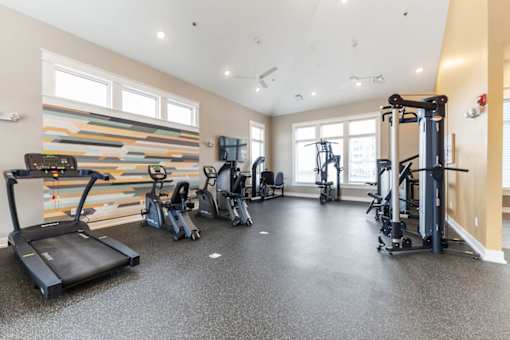 A spacious gym with treadmills, elliptical machines, and other exercise equipment.