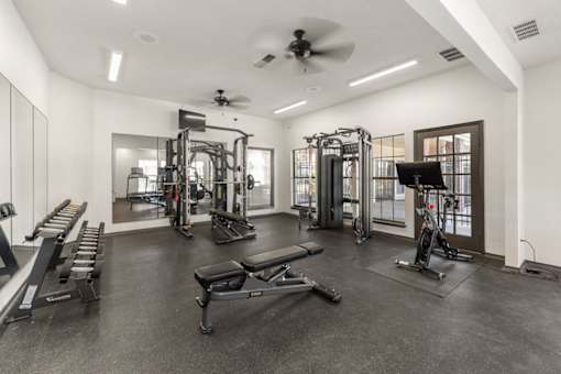 A spacious gym with a variety of equipment including a treadmill, a bench press, and a squat rack.