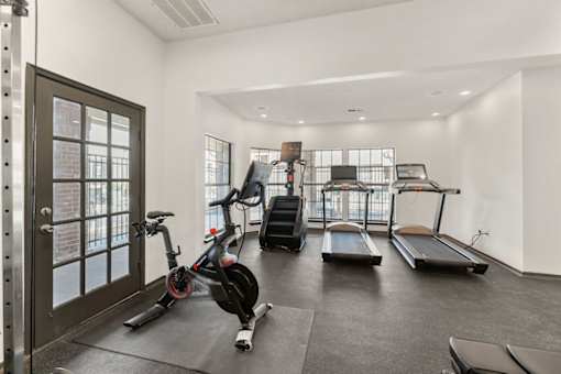 A gym with a treadmill, a stationary bike and a rowing machine.