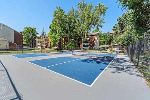 A blue and white tennis court surrounded by trees and a fence.