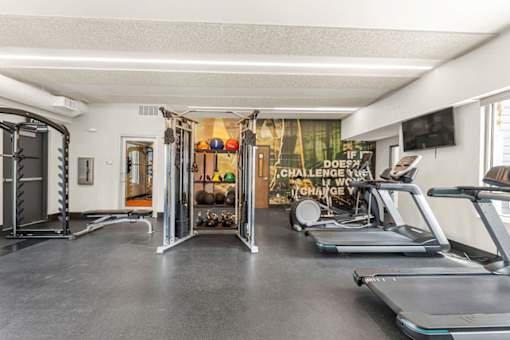 A home gym with treadmills, weights, and a television.