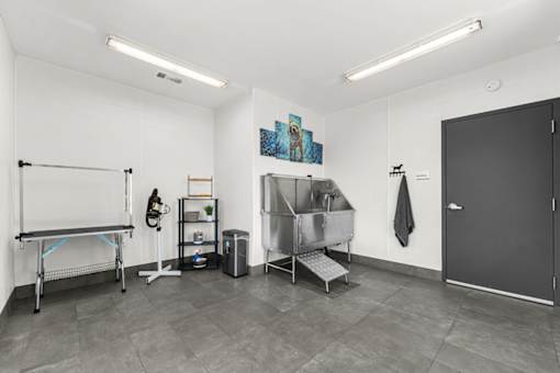 A room with a grey floor and a black door.