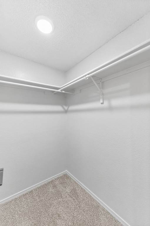 A white wall with a light on and a carpeted floor.
