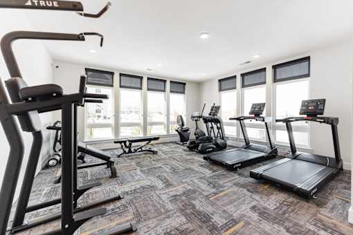 A gym with treadmills, elliptical machines, and a weight machine.