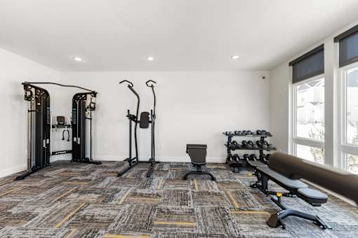 A gym with a bench, weights, and exercise equipment.