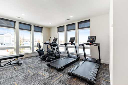 A gym with treadmills and elliptical machines.