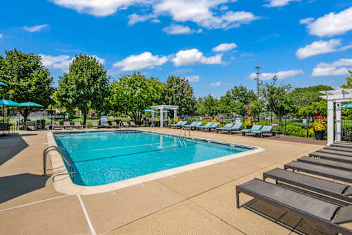 A large outdoor swimming pool surrounded by sun loungers and trees.