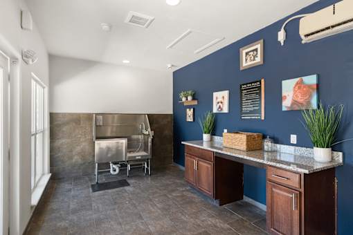 A kitchen with a blue wall and a stainless steel sink.