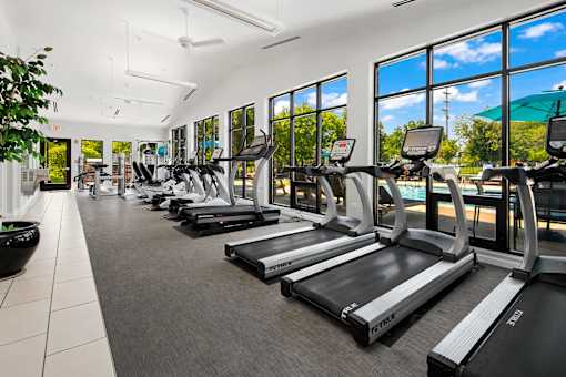 A gym with treadmills and a plant on the left.