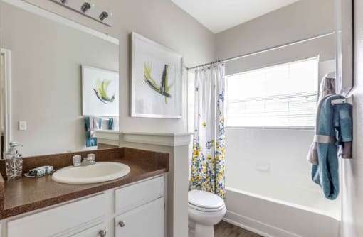 a bathroom with a sink and a toilet and a shower