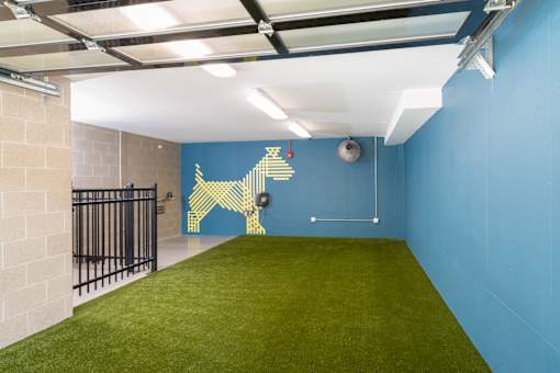 A room with a blue wall and a green carpet.