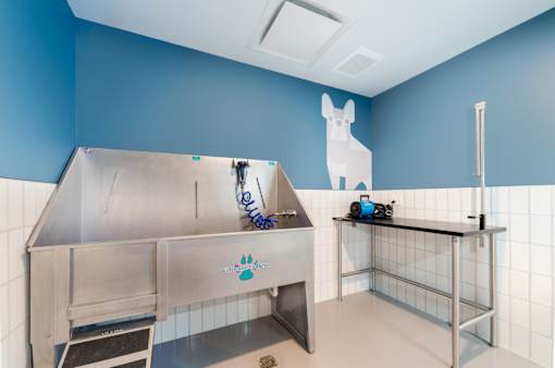 A dog grooming station with a blue wall and a white dog cutout.