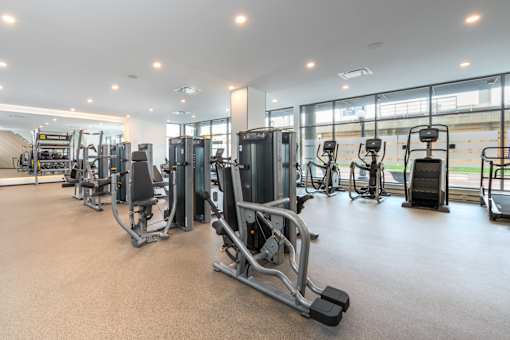A gym with a variety of equipment including treadmills, weights, and exercise machines.
