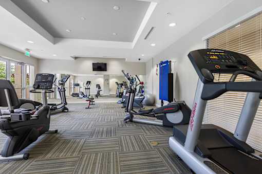A gym with treadmills and elliptical machines.