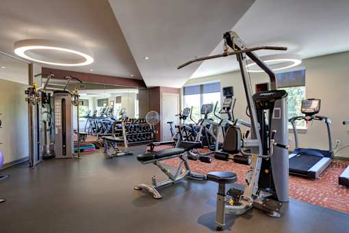 A gym with a variety of equipment including treadmills, weights, and exercise machines.