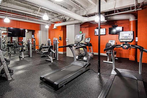 A gym with treadmills, exercise bikes, and other equipment.