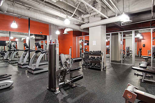 A gym with a variety of equipment including treadmills, weight racks, and benches.