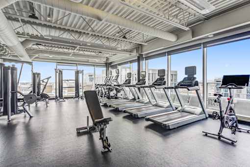 A gym with treadmills, weights, and exercise bikes.