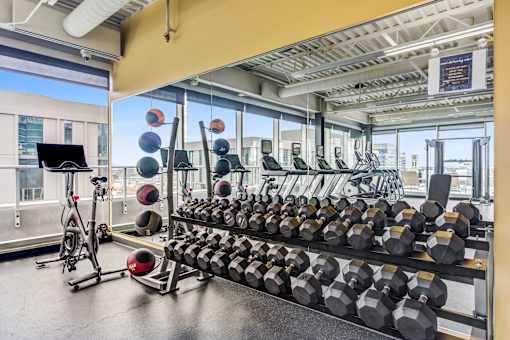 A gym with a row of dumbbells and weight plates.