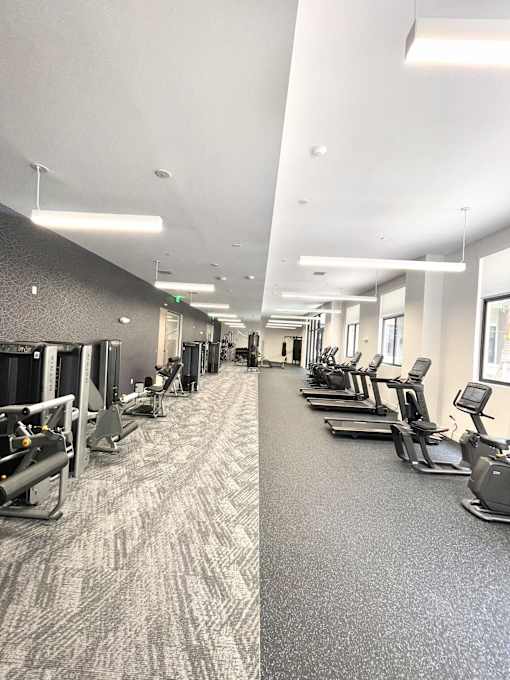 A gym with treadmills and elliptical machines.